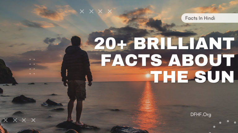 20+ Brilliant Facts about the Sun