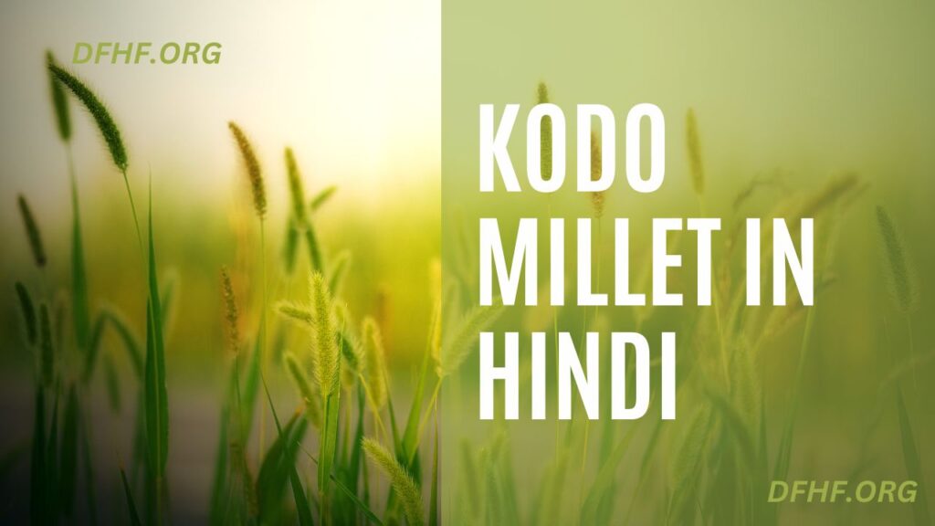 Kodo Millet in Hindi