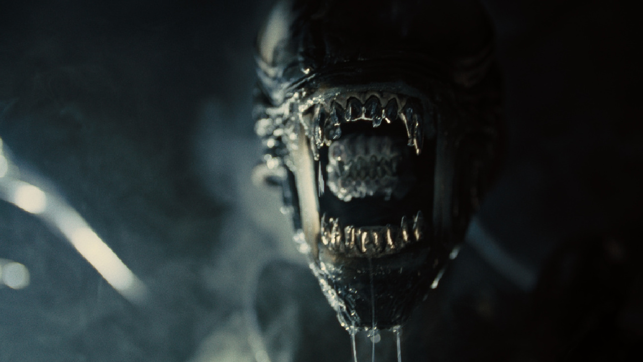 Xenomorph in 20th century studio 'Alien: Romulus.' Image courtesy of 20th Century Studios. © 2024 20th Century Studios. All rights reserved.